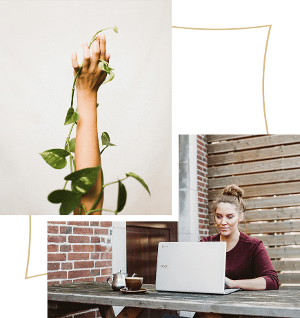 Women on laptop and hand with plant vine